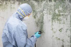 Best Emergency Mold Remediation  in Wtell, LA